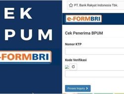 SUDAH BUKA! Saatnya UMKM Cek Penerima BPUM Dapat 600 Ribu