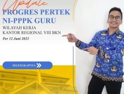 Progress Penetapan NI PPPK Per Juni 2023