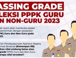 Passing Grade PPPK 2023