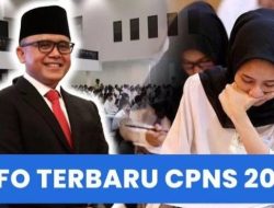 Rincian Kuota Formasi CPNS Fresh Graduate dan  2023