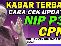 CEK NIP PPPK ONLINE