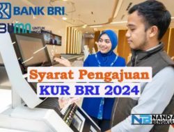 Kredit Tanpa Agunan KUR BRI 2024